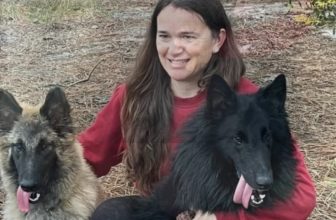 Comportamiento Canino A Domicilio